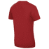 T-shirt a manches courtes Direct Alpine Bosco palisander