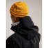 Casquettes Arcteryx Bird Head Toque Mantis / Arctic Silk