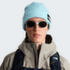 Casquettes The North Face SALTY LINED BEANIE TNFLIGHTGREYHTR