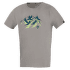 FLASH 5.0 stone (mountains)