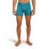 Caleçons Icebreaker Anatomica Boxer Men LICHEN/DK LODEN/S