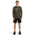 T-shirt a manches longues Icebreaker Merino 150 Tech Lite LS Tee Peak Balance Men DK LODEN