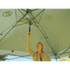 Abri Coleman SHELTER FASTPITCH ONEPUSH SHELTER L