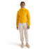 Veste Arcteryx Atom Hoody Women Pineberry