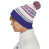 Casquettes Patagonia Powder Town Beanie Park Stripe: Viking Blue