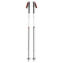 Trou Black Diamond EXPEDITION 2 SKI POLES