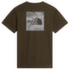 T-shirt a manches courtes The North Face BOX NSE CELEBRATION REGULAR SHORT SLEEVE MEN NEW TAUPE GREEN