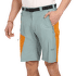 Shorts Direct Alpine VULCAN Short stone/navy