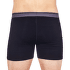 Caleçons Icebreaker Anatomica Boxers Men (103030) DK LODEN